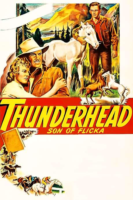 Thunderhead: Son of Flicka